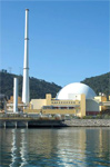 Бразилия: CNEN выдала лицензию на строительство энергоблока №3 АЭС «Ангра».